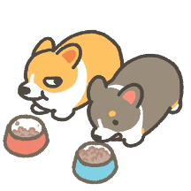 코기티콘 6