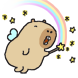 해피바라