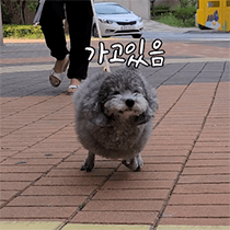 이모티콘 프리뷰
