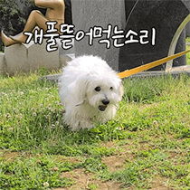 이모티콘 프리뷰