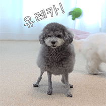 이모티콘 프리뷰