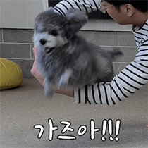 이모티콘 프리뷰