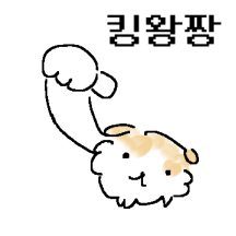 양지바른 강아지2