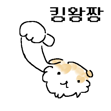 양지바른 강아지2
