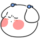 말티즈 콩이