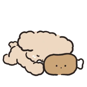 복슬복슬 아기푸들이랑 놀아주세요! 5