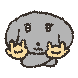 쿨개