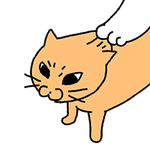 동공으로 말하는 고양이 3