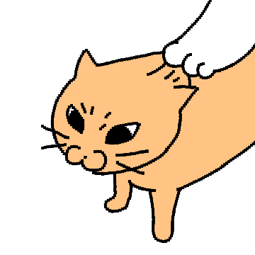 동공으로 말하는 고양이 3