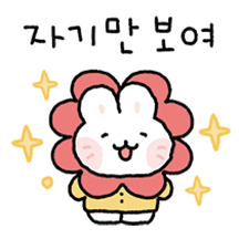 토송이는 오늘도 자기만 바라봐
