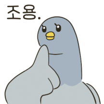 어느 도시의 둘기땅