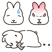 미니 희멀건 토끼