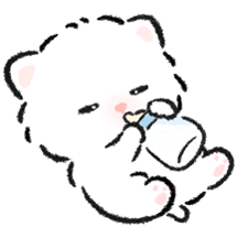 보용보용 아기 고양이 보고가세요