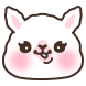 알파카(쉬캣)