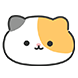 오동통 뚱냥이들
