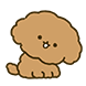 푸들찡