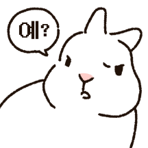 희멀건 토끼 5