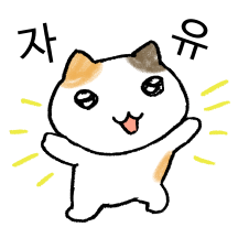 삼색이는 꺾이지 않아