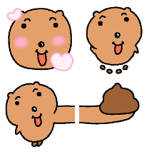 미니미니 극락쿼카