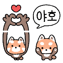 꼬마 레서판다 레또