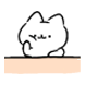 애기 애옹 삼형제