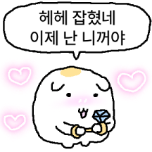 귀여운 삶은 에그햄