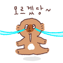 키니는 울보
