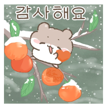 숲속의 아기 다람쥐