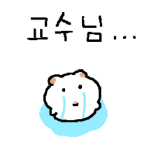 햄뭉지 대학생활