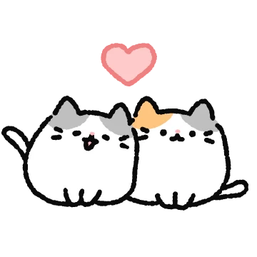 까꿍! 똥그란 고양이