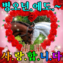 말,.로 전.하는~새해인사,,
