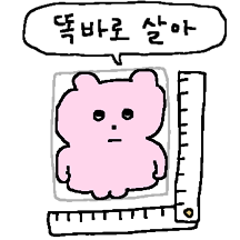 잔소리 꿍곰