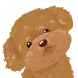 푸푸댕이