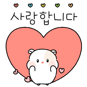 와찌가 다섯글자 예쁜말하러 와찌!