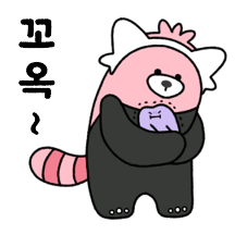 포켓몬 도망 시리즈