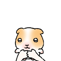 기니피그 : 꾸이꾸이