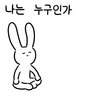 현타오네 현타토끼