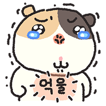 맹맹한 기니피그