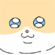 도른고양이