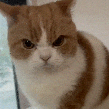 버찌는 참지 않아!