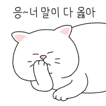 우리집 도도냥