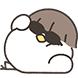 바가지새