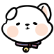 배꾸