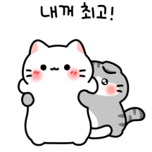 말랑뽀짝 고양이 커플2 (스코시티폴드)
