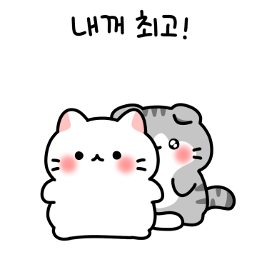 말랑뽀짝 고양이 커플2 (스코시티폴드)