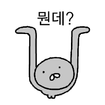 물음표 물개