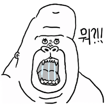 샴푸와 린스st.