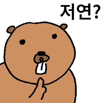 B정상 B버