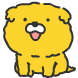 시골개 발바리
