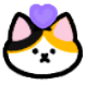 얀콩